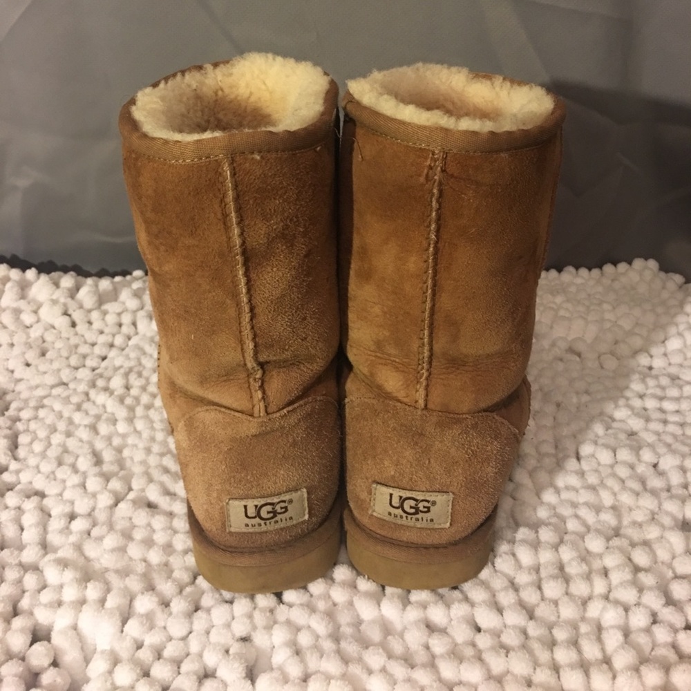 Short chestnut uggs